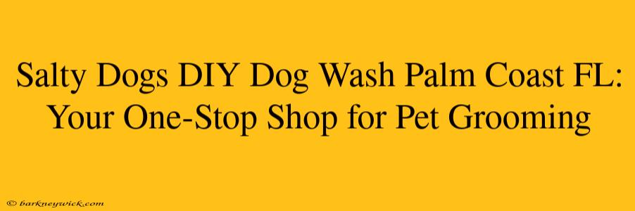 Salty Dogs DIY Dog Wash Palm Coast FL: Your One-Stop Shop for Pet Grooming