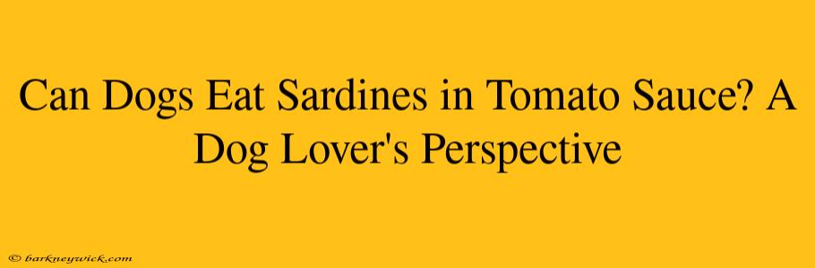 Can Dogs Eat Sardines in Tomato Sauce? A Dog Lover's Perspective