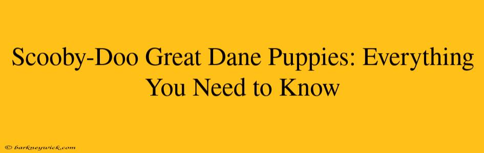 Scooby-Doo Great Dane Puppies: Everything You Need to Know