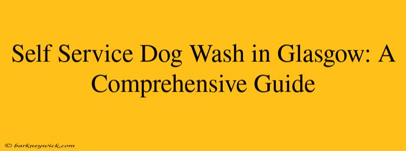 Self Service Dog Wash in Glasgow: A Comprehensive Guide