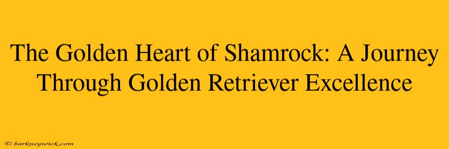 The Golden Heart of Shamrock: A Journey Through Golden Retriever Excellence