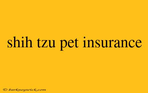 shih tzu pet insurance