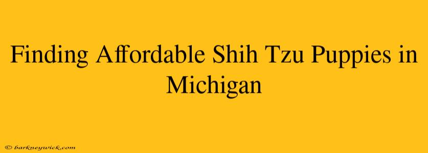 Finding Affordable Shih Tzu Puppies in Michigan