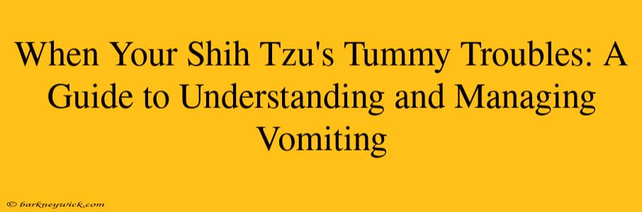 When Your Shih Tzu's Tummy Troubles: A Guide to Understanding and Managing Vomiting 