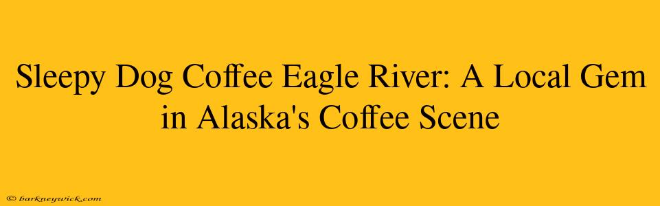 Sleepy Dog Coffee Eagle River: A Local Gem in Alaska's Coffee Scene