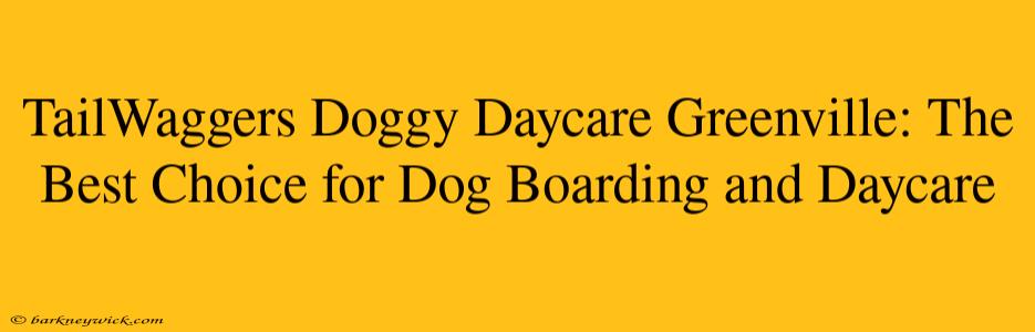 TailWaggers Doggy Daycare Greenville: The Best Choice for Dog Boarding and Daycare