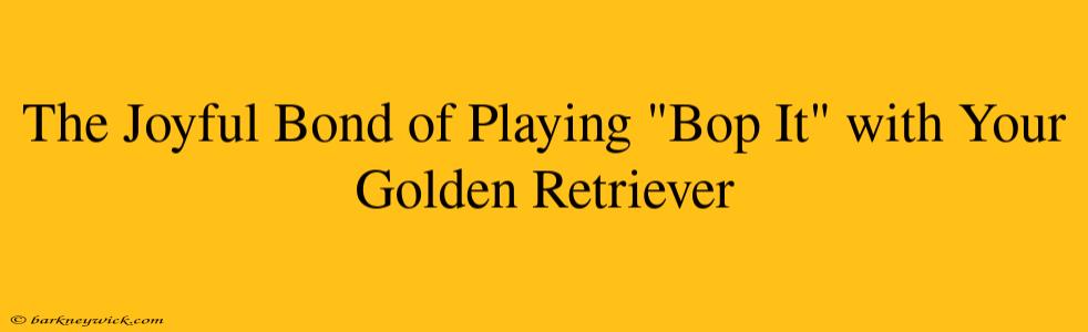 The Joyful Bond of Playing "Bop It" with Your Golden Retriever