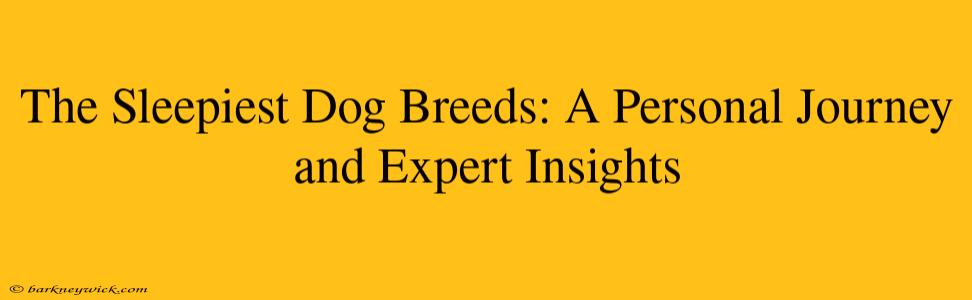 The Sleepiest Dog Breeds: A Personal Journey and Expert Insights