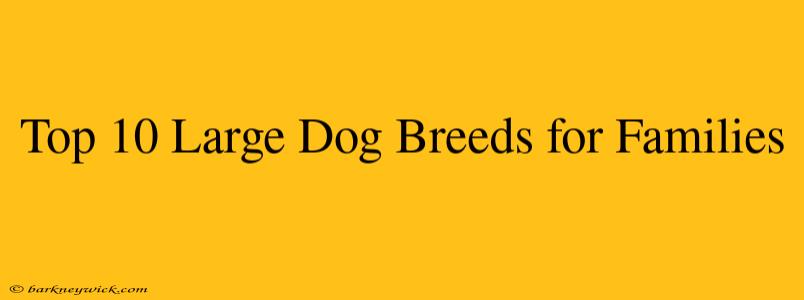 Top 10 Large Dog Breeds for Families