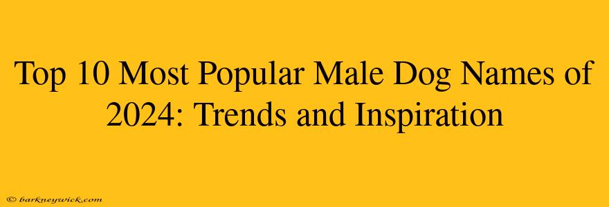 Top 10 Most Popular Male Dog Names of 2024: Trends and Inspiration