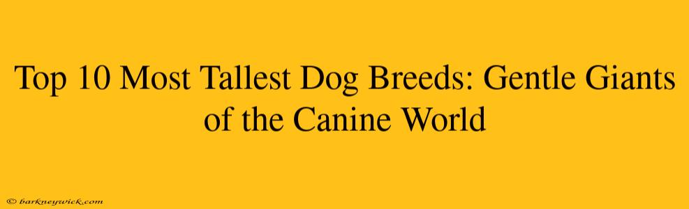 Top 10 Most Tallest Dog Breeds: Gentle Giants of the Canine World