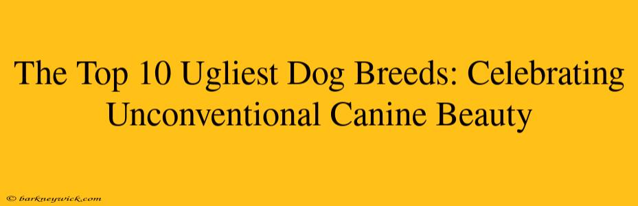 The Top 10 Ugliest Dog Breeds: Celebrating Unconventional Canine Beauty