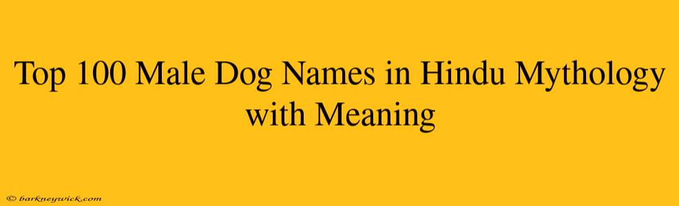 Top 100 Male Dog Names in Hindu Mythology with Meaning 