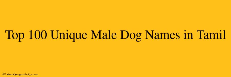 Top 100 Unique Male Dog Names in Tamil