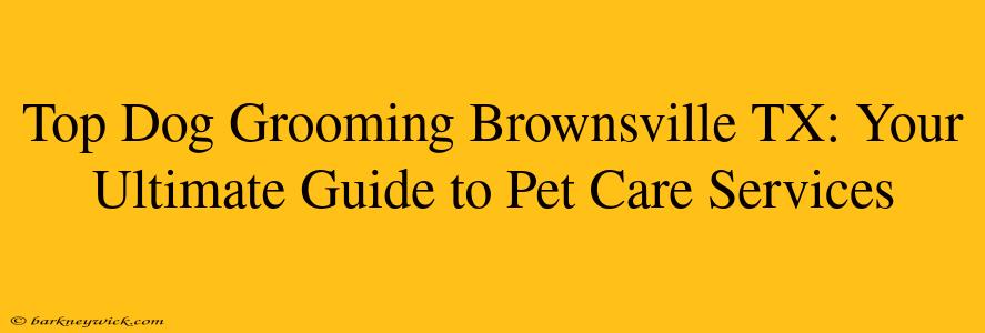 Top Dog Grooming Brownsville TX: Your Ultimate Guide to Pet Care Services