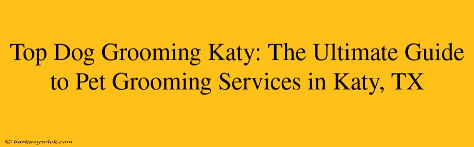 Top Dog Grooming Katy: The Ultimate Guide to Pet Grooming Services in Katy, TX