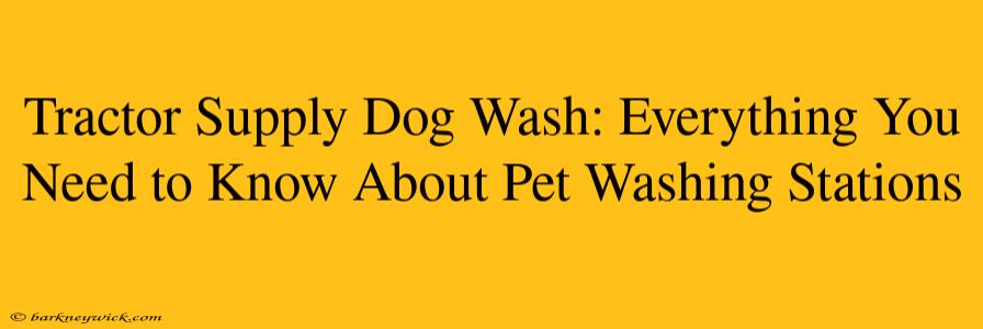 Tractor Supply Dog Wash: Everything You Need to Know About Pet Washing Stations