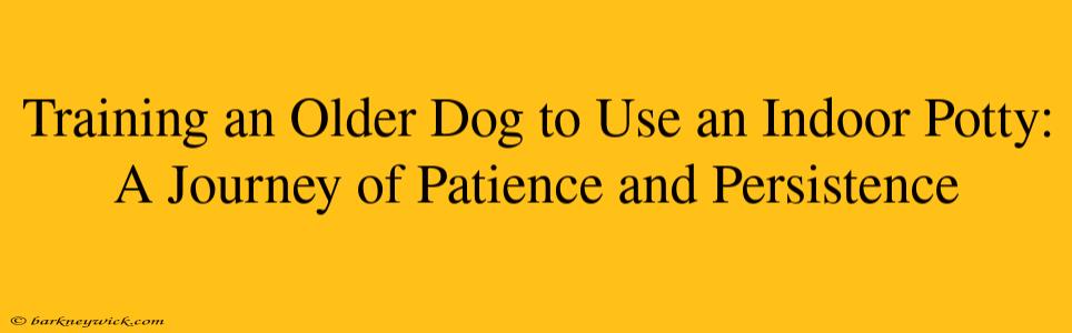 Training an Older Dog to Use an Indoor Potty: A Journey of Patience and Persistence