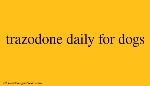 trazodone daily for dogs