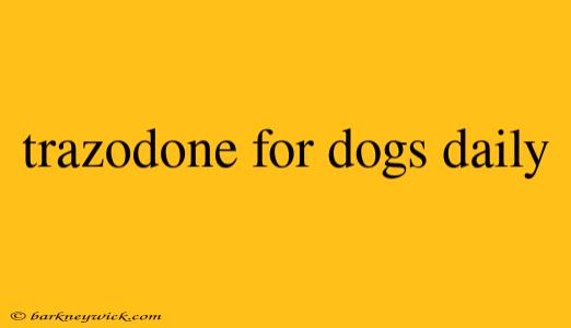 trazodone for dogs daily