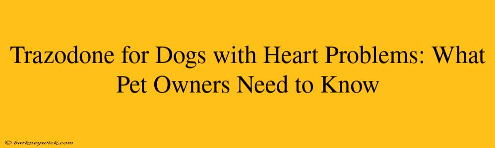 Trazodone for Dogs with Heart Problems: What Pet Owners Need to Know