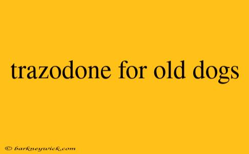 trazodone for old dogs