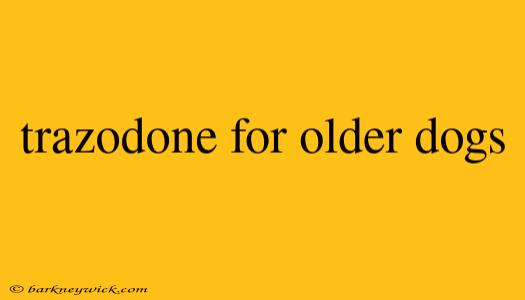 trazodone for older dogs