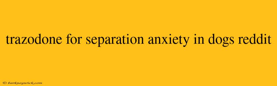 trazodone for separation anxiety in dogs reddit