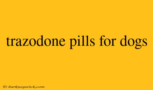 trazodone pills for dogs