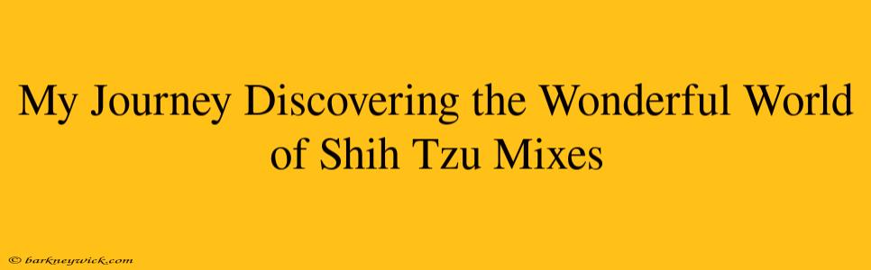 My Journey Discovering the Wonderful World of Shih Tzu Mixes 