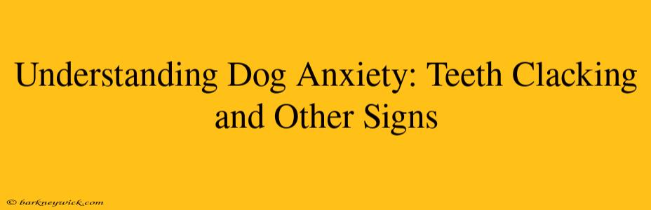 Understanding Dog Anxiety: Teeth Clacking and Other Signs