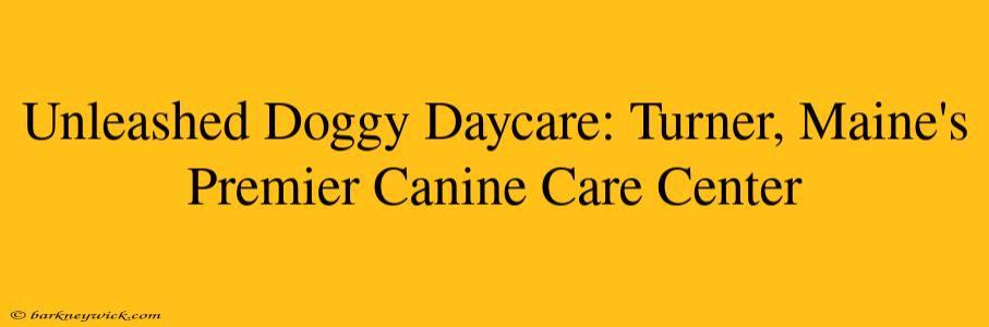 Unleashed Doggy Daycare: Turner, Maine's Premier Canine Care Center