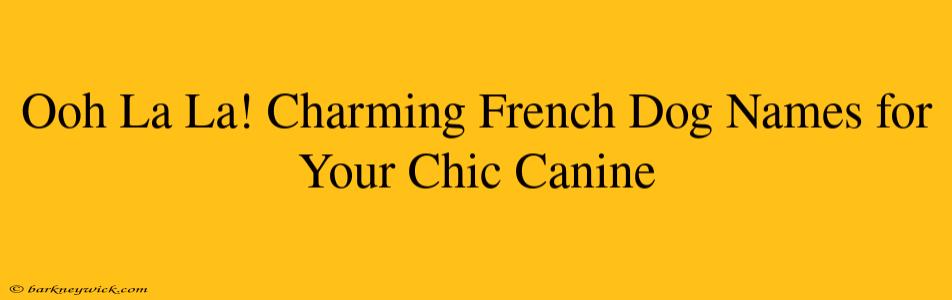 Ooh La La! Charming French Dog Names for Your Chic Canine