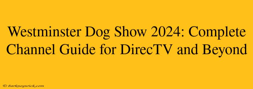 Westminster Dog Show 2024: Complete Channel Guide for DirecTV and Beyond