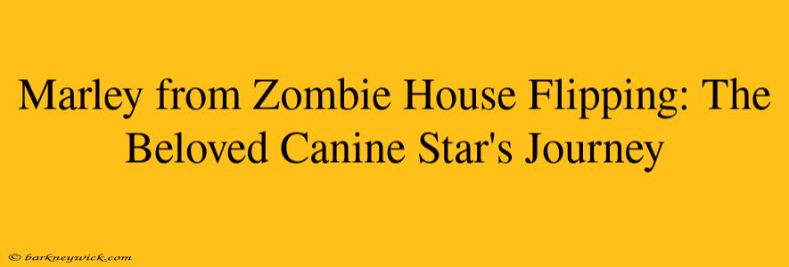 Marley from Zombie House Flipping: The Beloved Canine Star's Journey