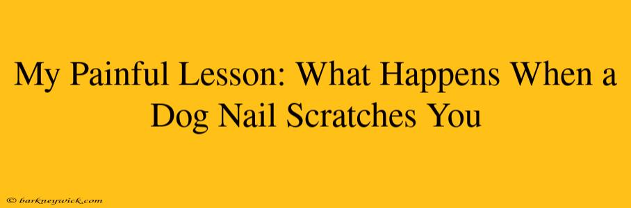 My Painful Lesson: What Happens When a Dog Nail Scratches You 