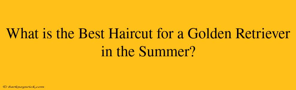 What is the Best Haircut for a Golden Retriever in the Summer?