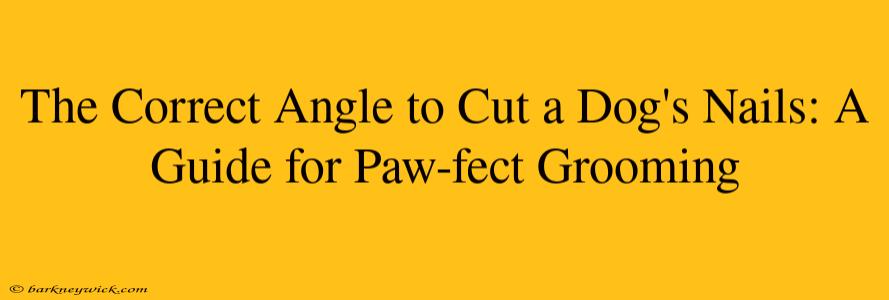 The Correct Angle to Cut a Dog's Nails: A Guide for Paw-fect Grooming