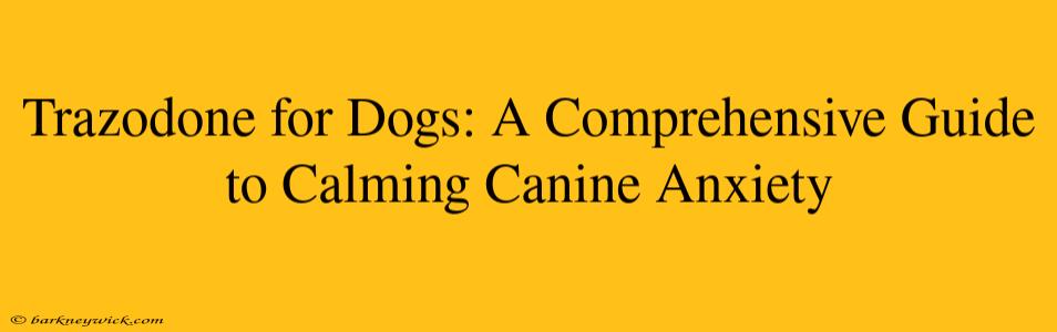 Trazodone for Dogs: A Comprehensive Guide to Calming Canine Anxiety