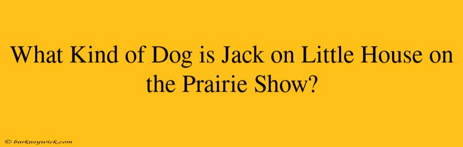 What Kind of Dog is Jack on Little House on the Prairie Show?