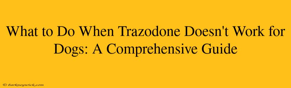 What to Do When Trazodone Doesn't Work for Dogs: A Comprehensive Guide