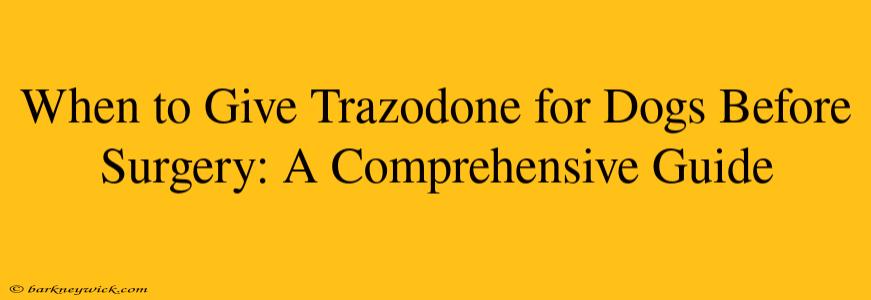 When to Give Trazodone for Dogs Before Surgery: A Comprehensive Guide