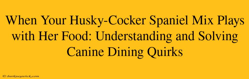 When Your Husky-Cocker Spaniel Mix Plays with Her Food: Understanding and Solving Canine Dining Quirks