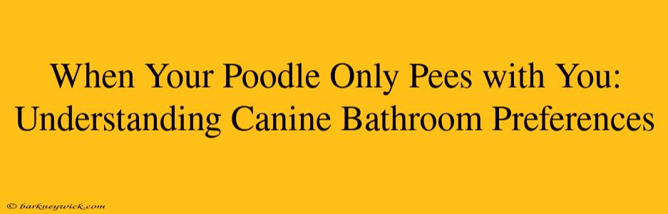 When Your Poodle Only Pees with You: Understanding Canine Bathroom Preferences