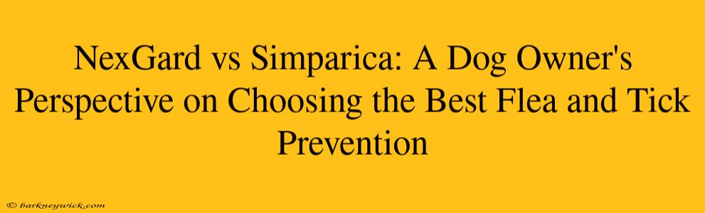 NexGard vs Simparica: A Dog Owner's Perspective on Choosing the Best Flea and Tick Prevention