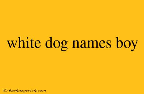 white dog names boy