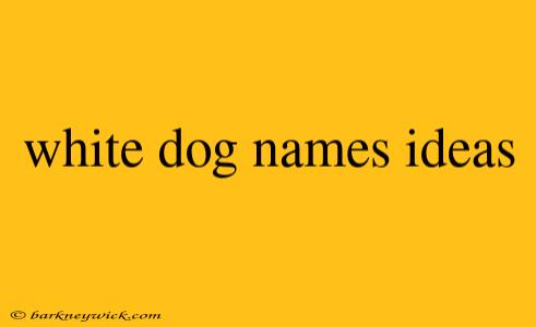 white dog names ideas