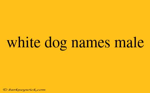 white dog names male