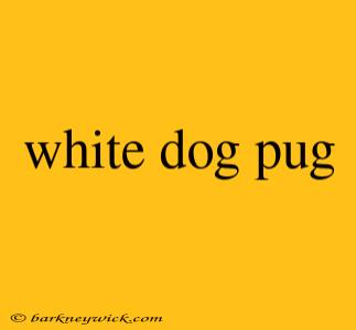 white dog pug