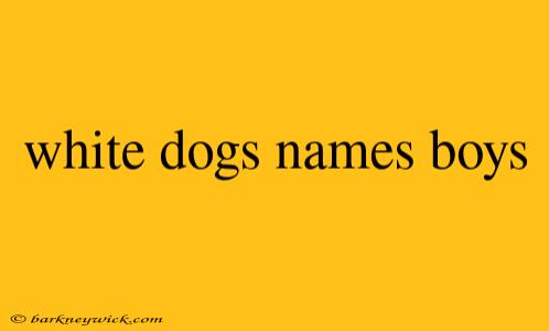 white dogs names boys